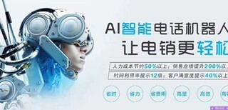 解放銷(xiāo)售團(tuán)隊(duì)的雙手 電銷(xiāo)機(jī)器人的應(yīng)用場(chǎng)景與智能成果